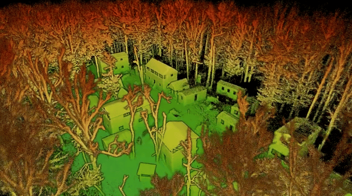 woods-point-cloud