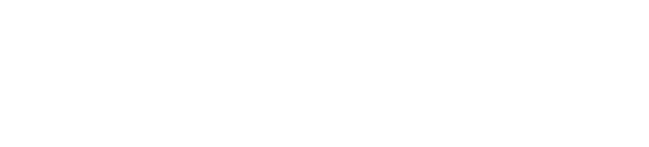 exyn-logo-wt