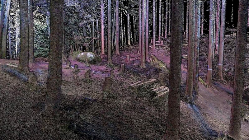 nexys-point-cloud-colorized-1