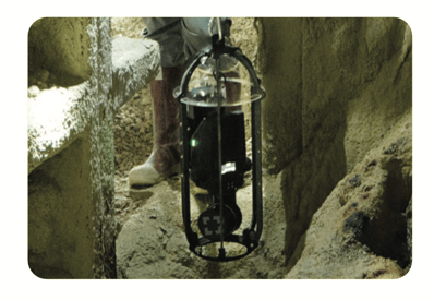 nexys-protective-cage